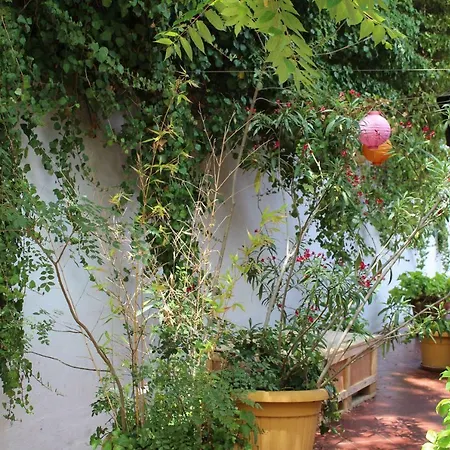 Yoga Loft Almada
