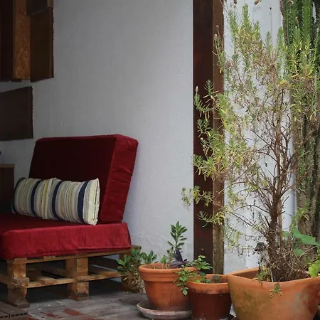 Tatil Evi Yoga Loft
