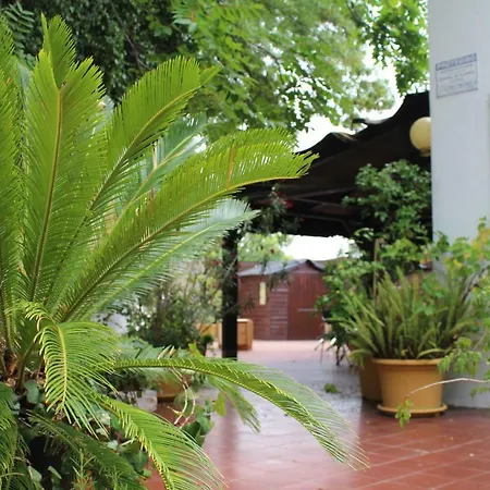 Semesterbostad Yoga Loft Almada